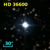 HD  36600