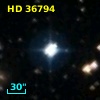 HD  36794