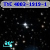 TYC 4003-1919-1