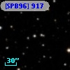 [SPB96]  917