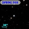 [SPB96]  918