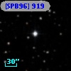 [SPB96]  919