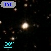 TYC 1304-1131-1