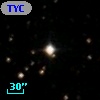 TYC 1304-1274-1