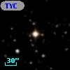 TYC 1305-136-1
