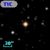 TYC 1305-146-1