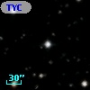 TYC 1305-604-1