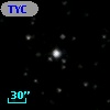 TYC 1305-895-1