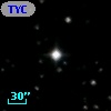TYC 1305-1298-1
