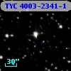 TYC 4003-2341-1
