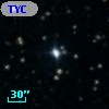 TYC 1310-185-1