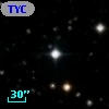 TYC 1310-1885-1