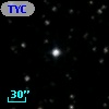 TYC 1310-2408-1