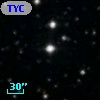TYC 1310-2681-1
