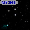 NSV  2055