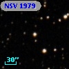 NSV  1979