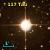 * 117 Tau