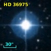 HD  36975