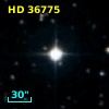 HD  36775