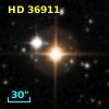 HD  36911