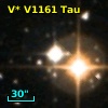 V* V1161 Tau