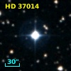 HD  37014