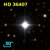 HD  36407