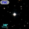 TYC 1300-1234-1