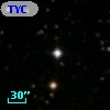 TYC 1305-960-1