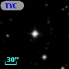 TYC 1305-974-1