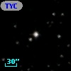 TYC 1305-1156-1