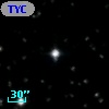 TYC 1305-1465-1
