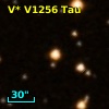 V* V1256 Tau