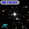 HD 236155