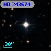 HD 243674