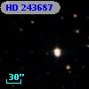 HD 243687