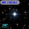 HD 236162