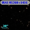 IRAS 05260+1431