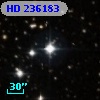 HD 236183