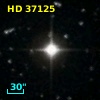 HD  37125