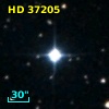 HD  37205