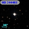 HD 244403