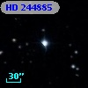 HD 244885