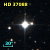 HD  37088