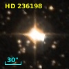 HD 236198