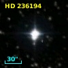 HD 236194