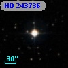 HD 243736