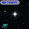 HD 243675