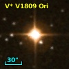 V* V1809 Ori
