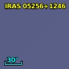 IRAS 05256+1246